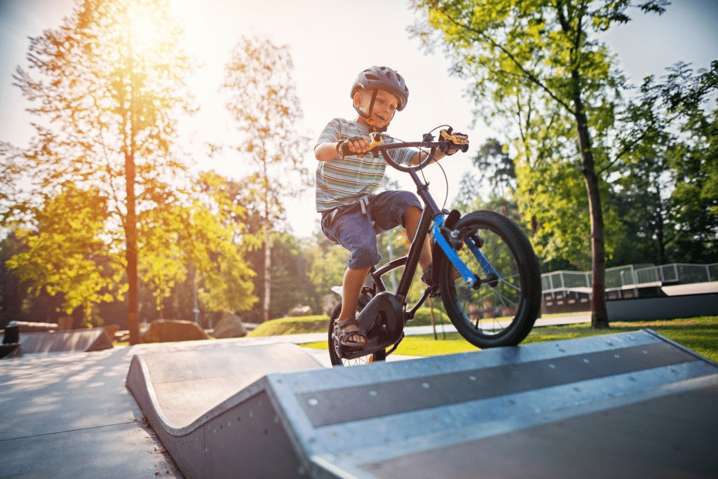 top 5 bmx bikes