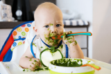 Baby Food Makers – Our Recommendations Revealed